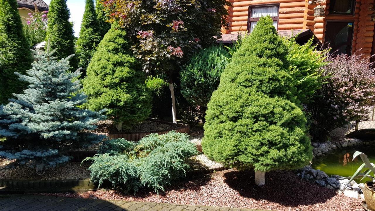 Luxury Villa With Pool And Sauna Chernivtsi Luaran gambar